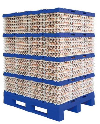 Egg Transport Pallet Berys Plastic Pallets China Manufacturer